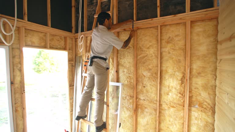 Best Wall Insulation Installation  in Orwigsburg, PA