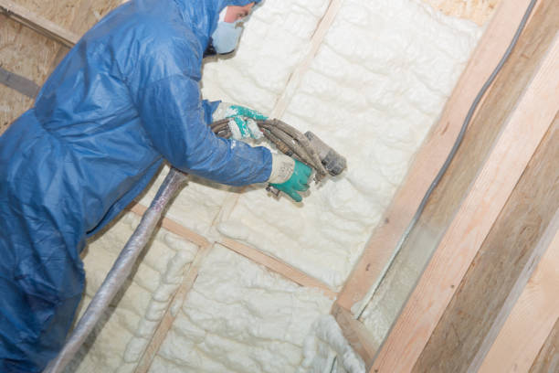 Best Insulation Air Sealing  in Orwigsburg, PA